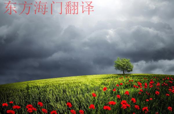 翻译与翻译公司